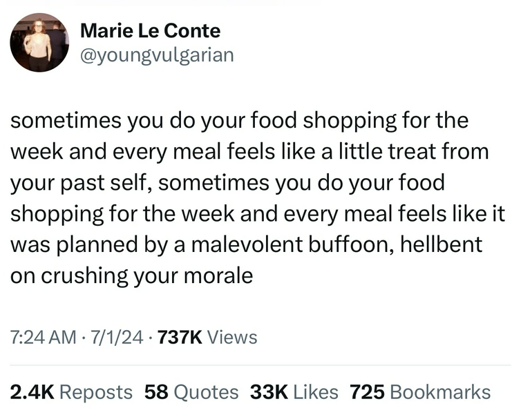 screenshot - Marie Le Conte sometimes you do your food shopping for the week and every meal feels a little treat from your past self, sometimes you do your food shopping for the week and every meal feels it was planned by a malevolent buffoon, hellbent on